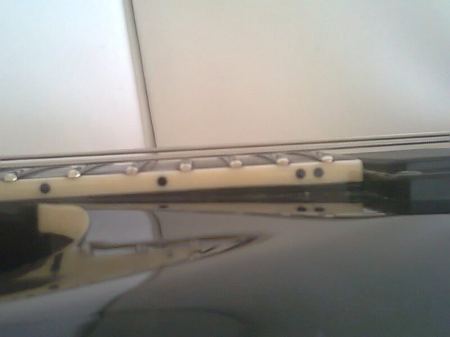 Foto0006.jpg